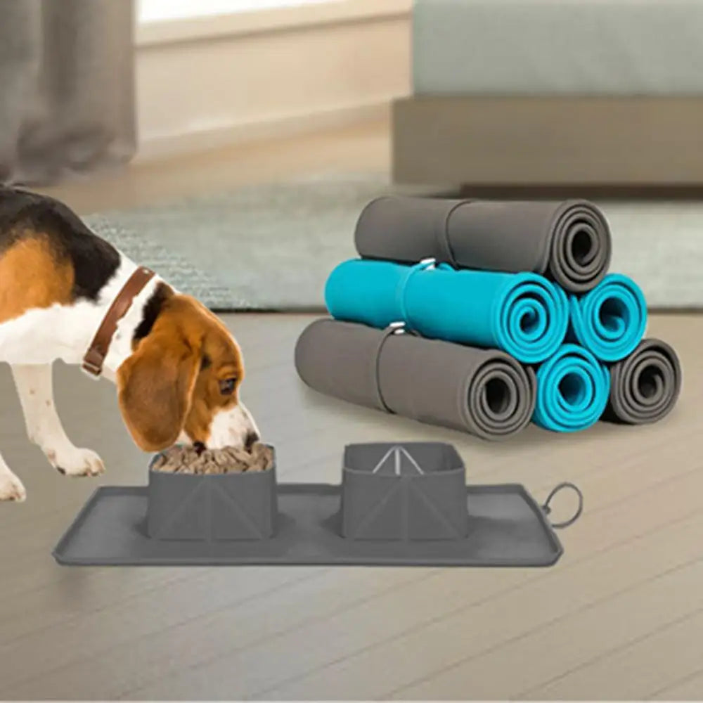 Portable Pet Bowl Foldable Silicone Dog Bowls Puppy For Food Water