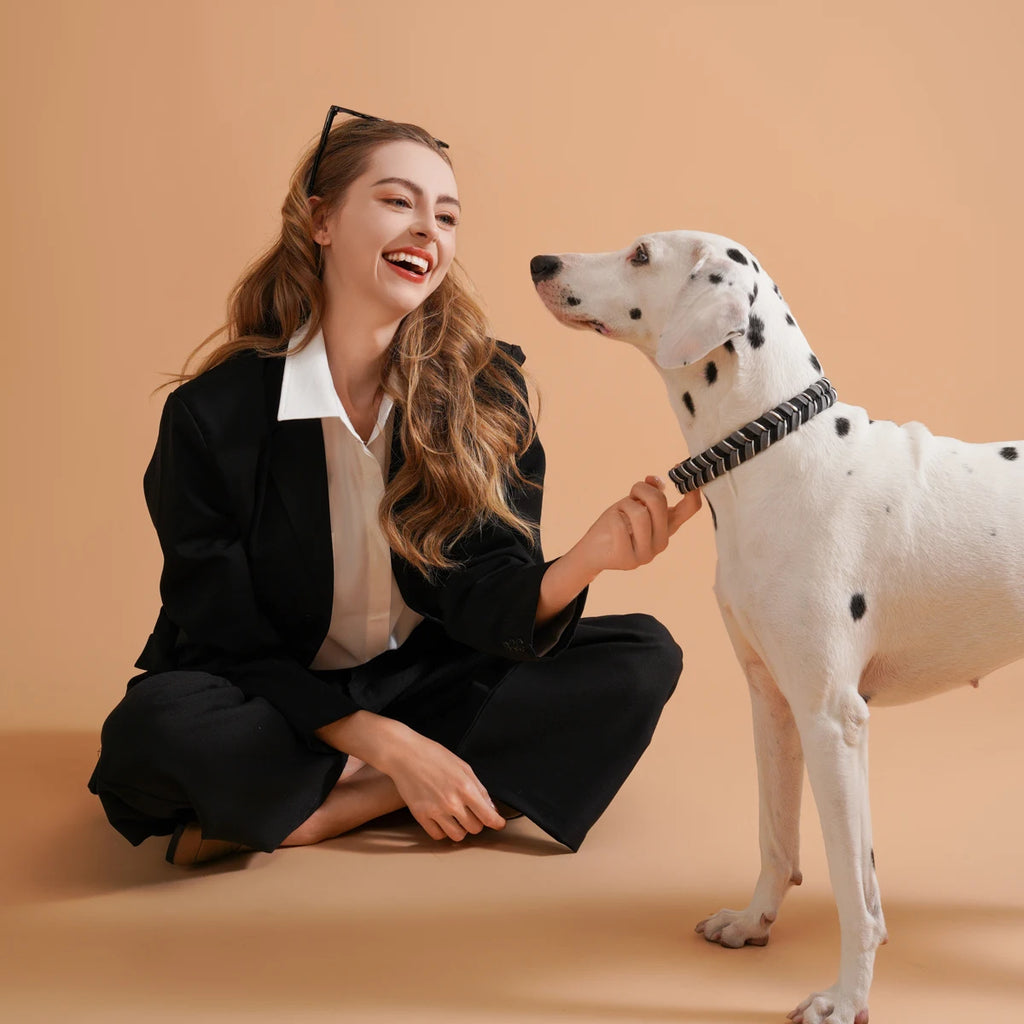 Dog Fashion Collar For Ladies Handmade Design