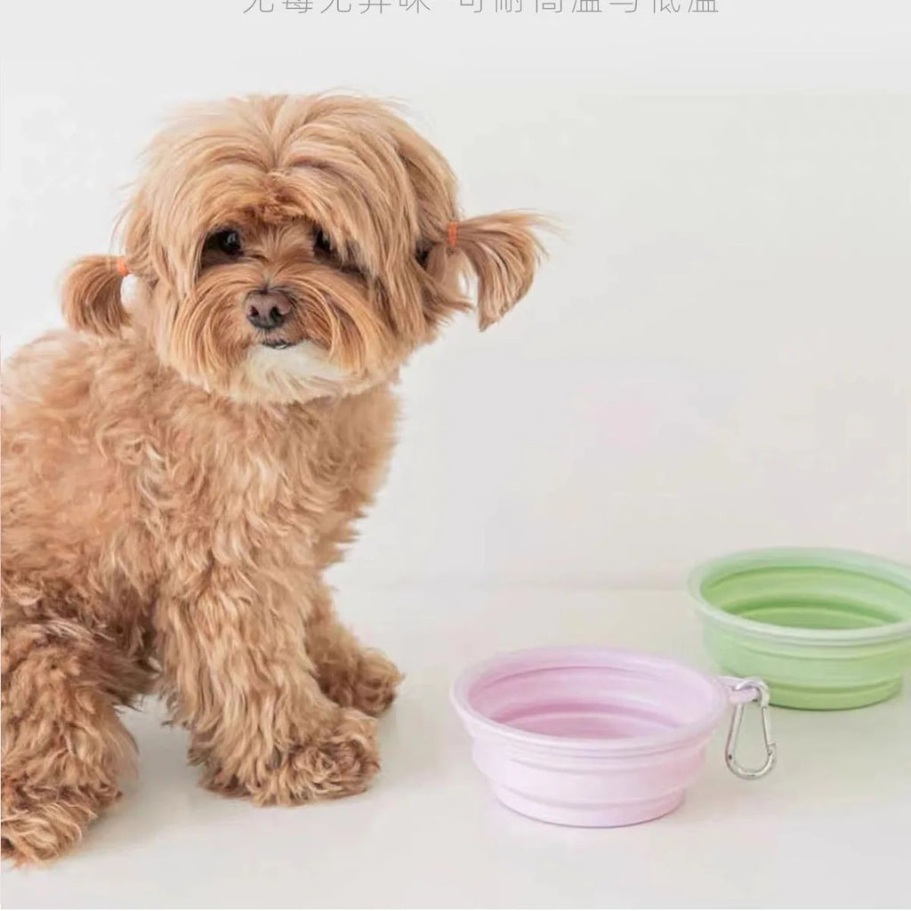 Outdoor Drinking Portable Silicone  Folding Cat Bowls Dog Bowls