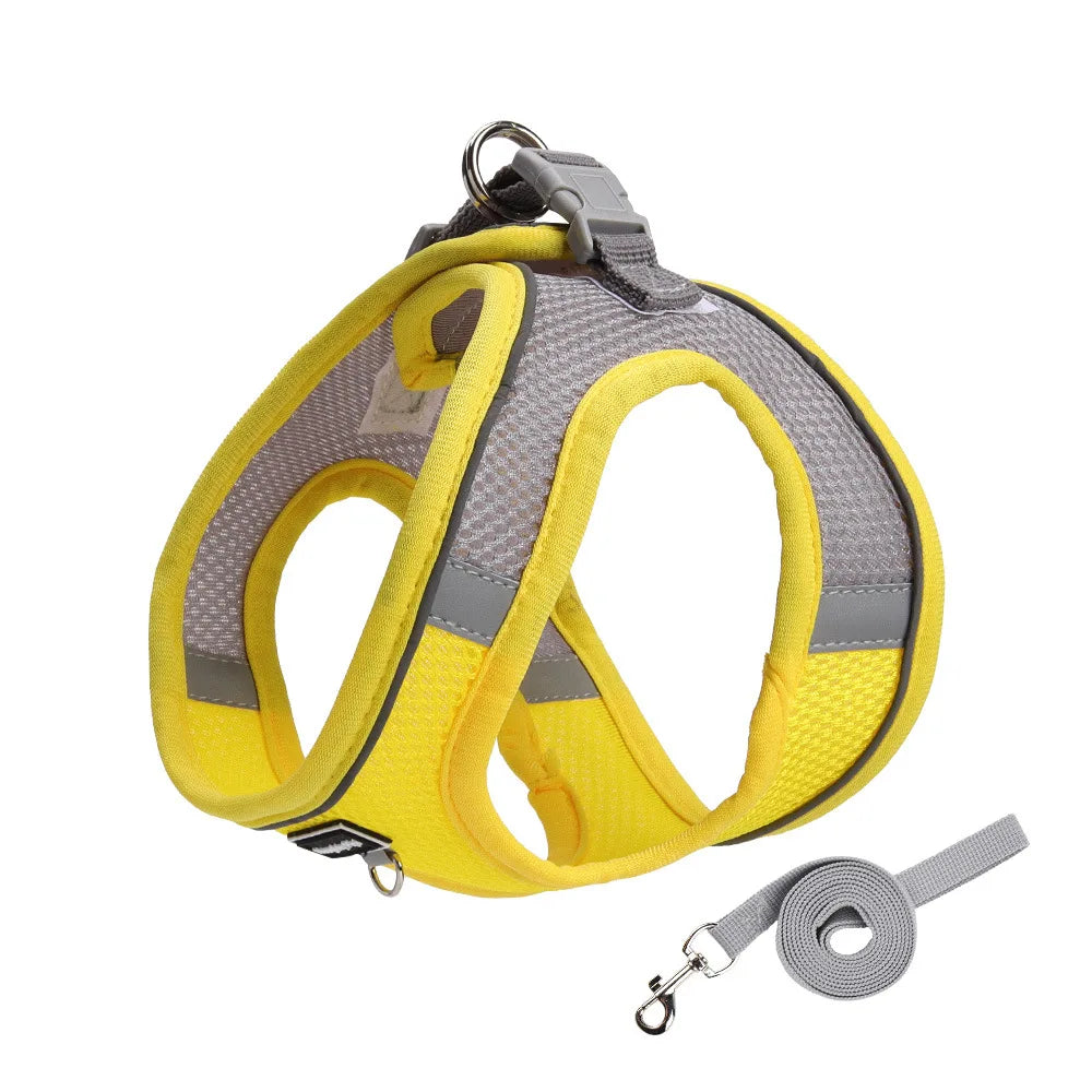 Harness for Dogs and Cats  Adjustable Collar Leash