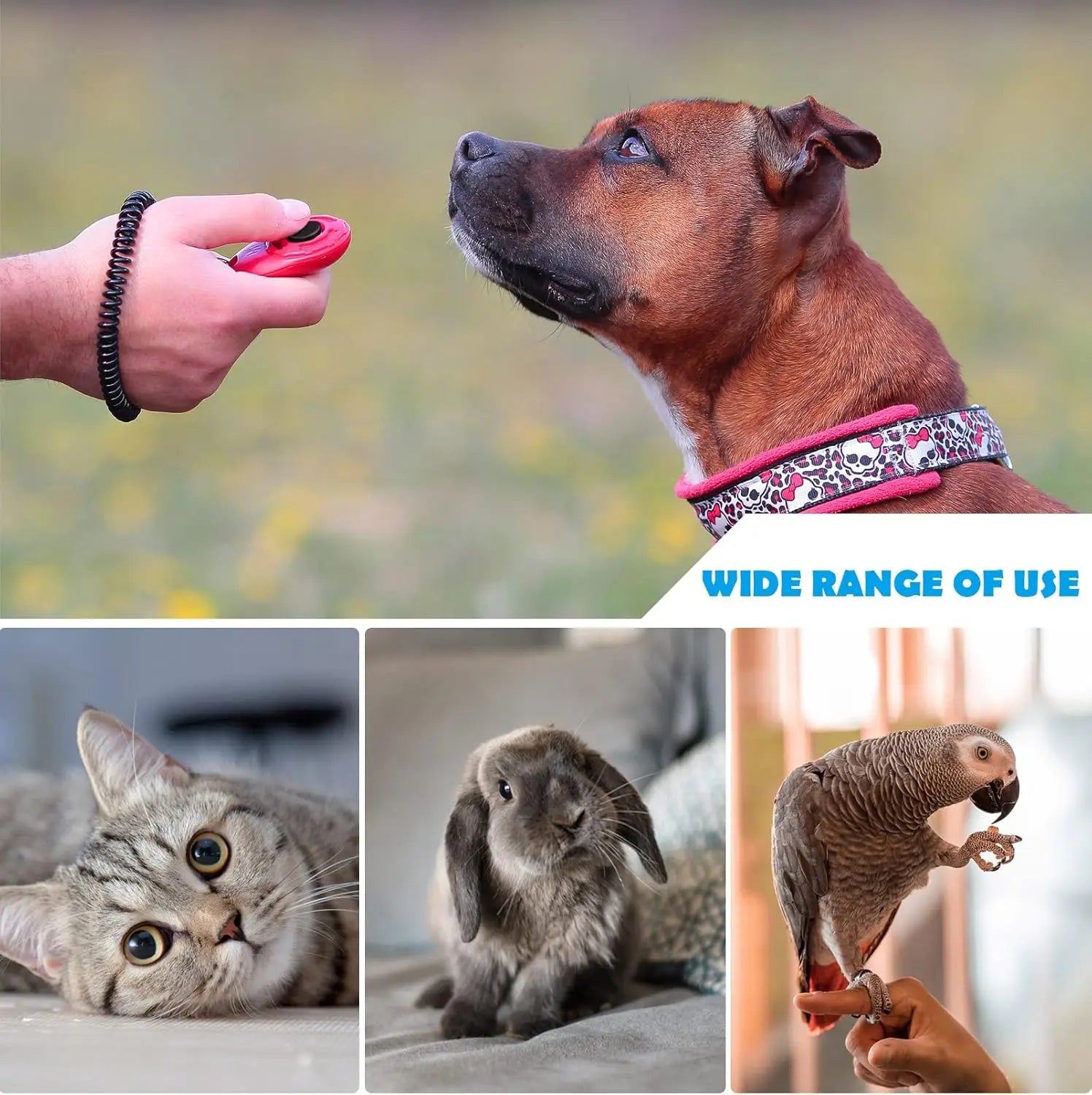 Dog Training Clicker with Single, Distinct Sound - Quick & Effective Pet Training Tool