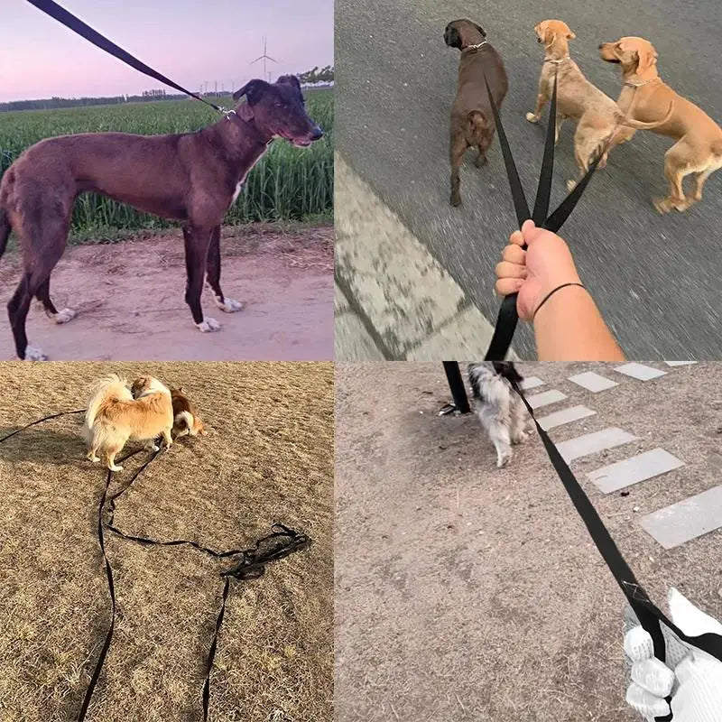 Long Strong Nylon Dog Leash 10m 15m 20m Pet Training Leash For Small Big Dogs