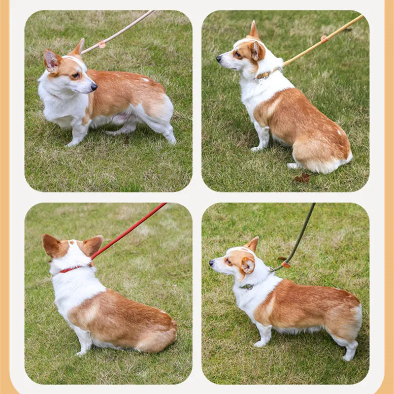 Dog training collar anti riot nylon hand P rope