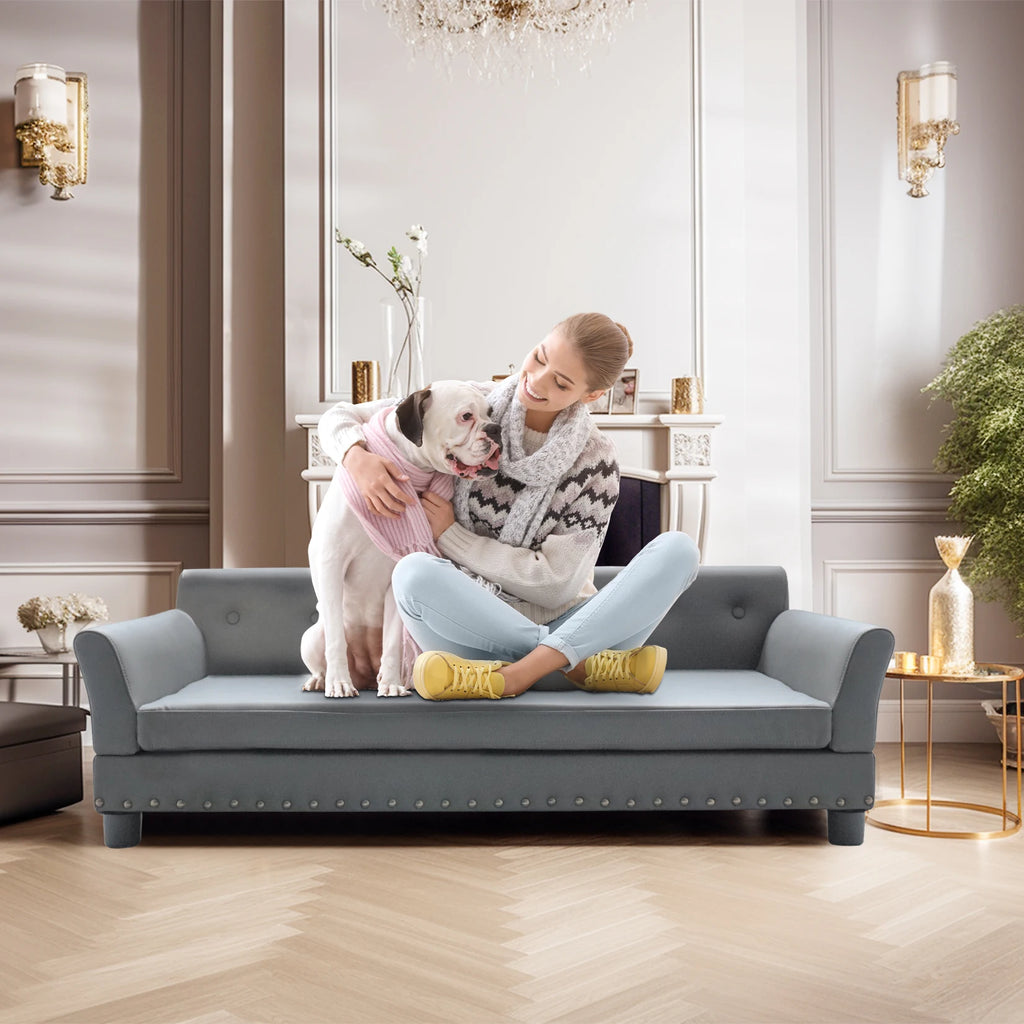Durable Elevated Dog Sofa Bed