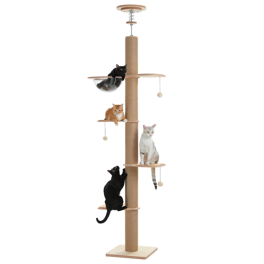 Floor to Ceiling Cat Tree for Indoor Cats Adjustable Height Wooden Scratching Posts Acrylic Cave Cat Toys