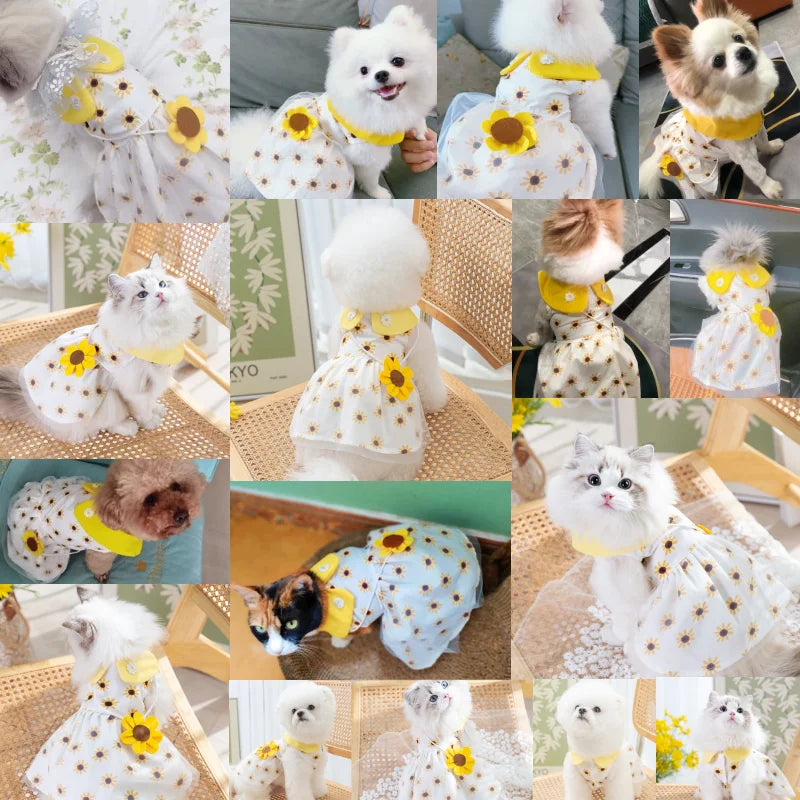 Princess Mesh Puppy Dog Summer Dress Bow Lace