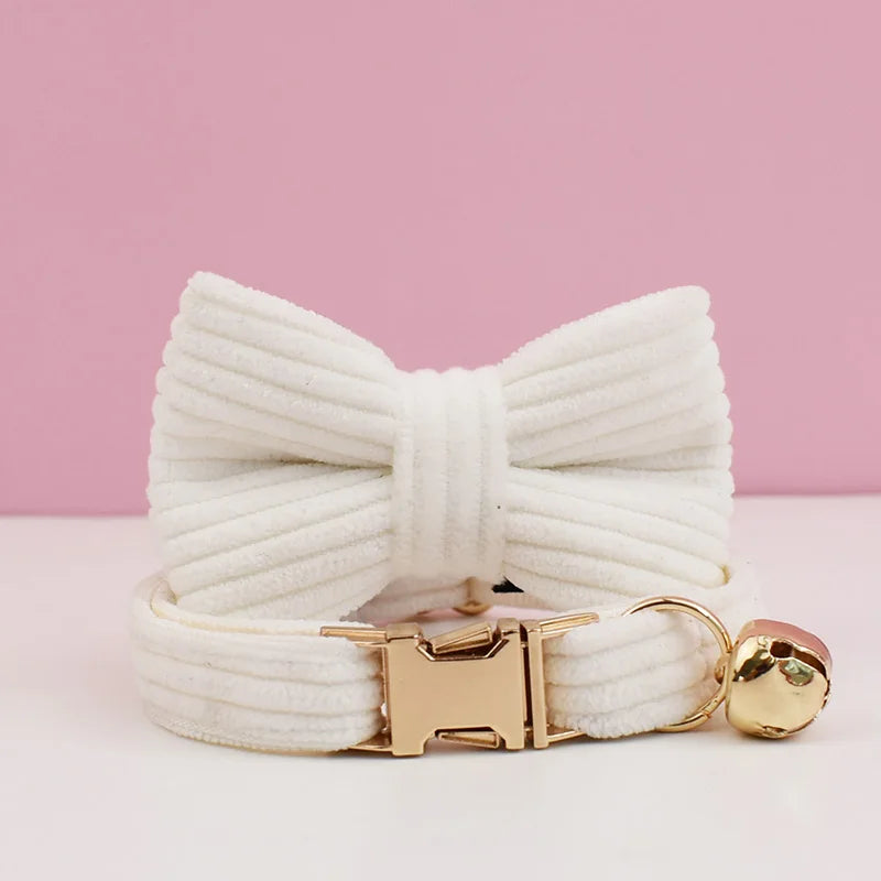 Cat Collar Personalized  ID Tag