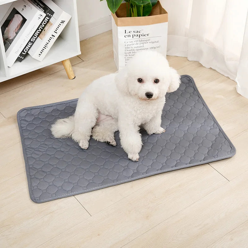 Reusable Dog Pee Pad Blanket Absorbent Diaper Washable Puppy Training Pad
