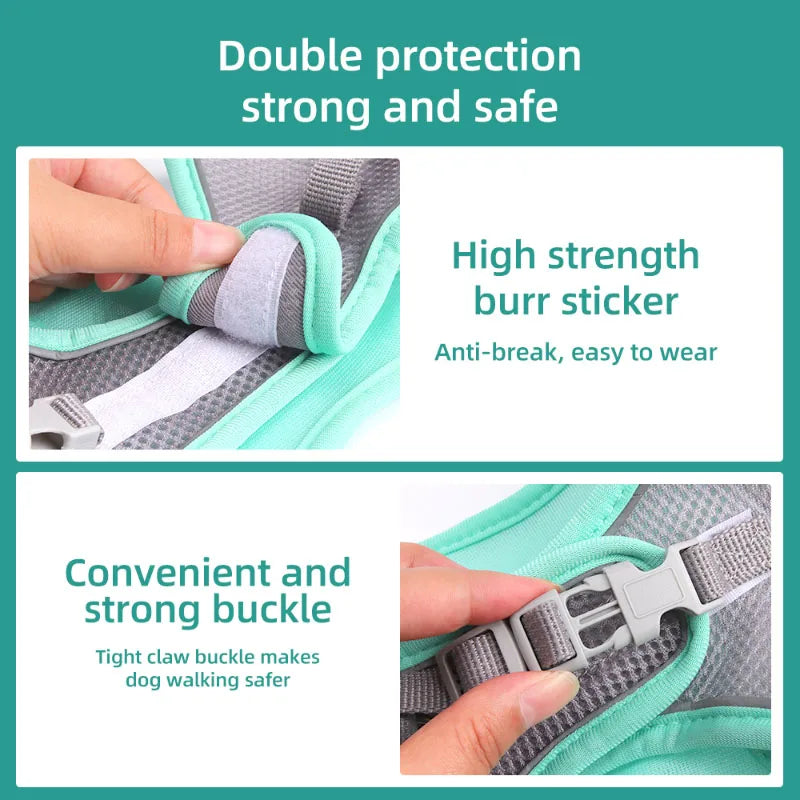 Harness for Dogs and Cats  Adjustable Collar Leash