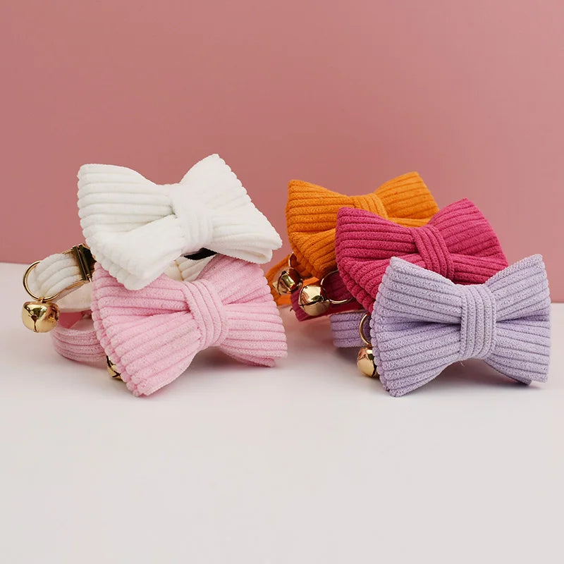 Cat Collar Personalized  ID Tag