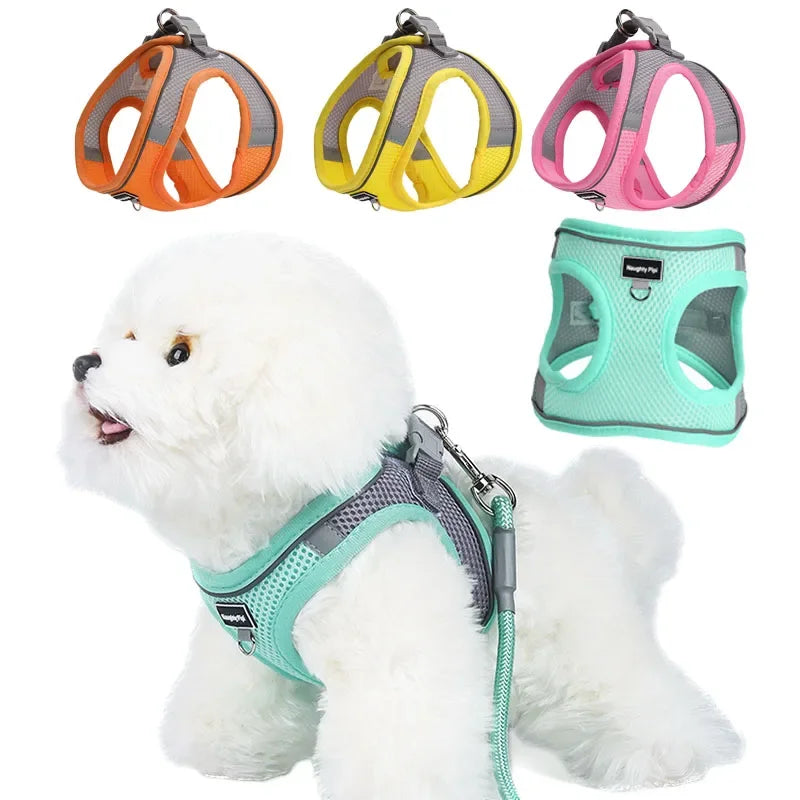Harness for Dogs and Cats  Adjustable Collar Leash