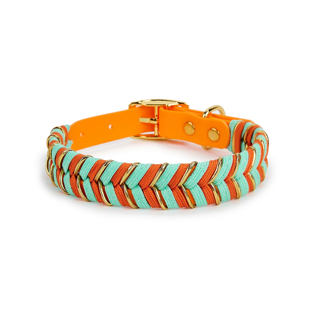 Dog Fashion Collar For Ladies Handmade Design