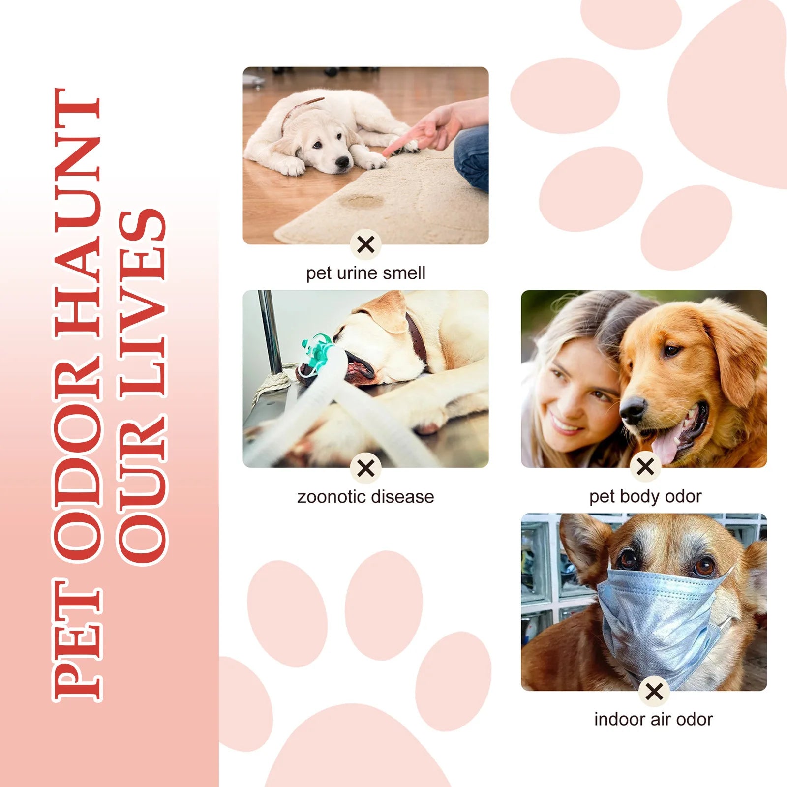 Pet Odor Eliminator Spray - Long-Lasting Deodorant for Dogs & Cats Liquid Fragrance Body
