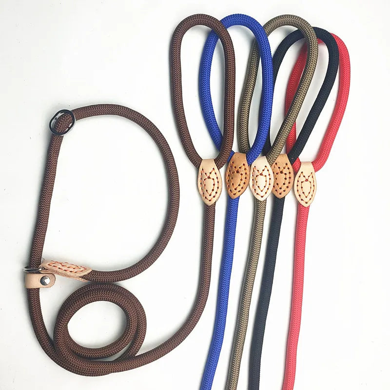 Dog training collar anti riot nylon hand P rope