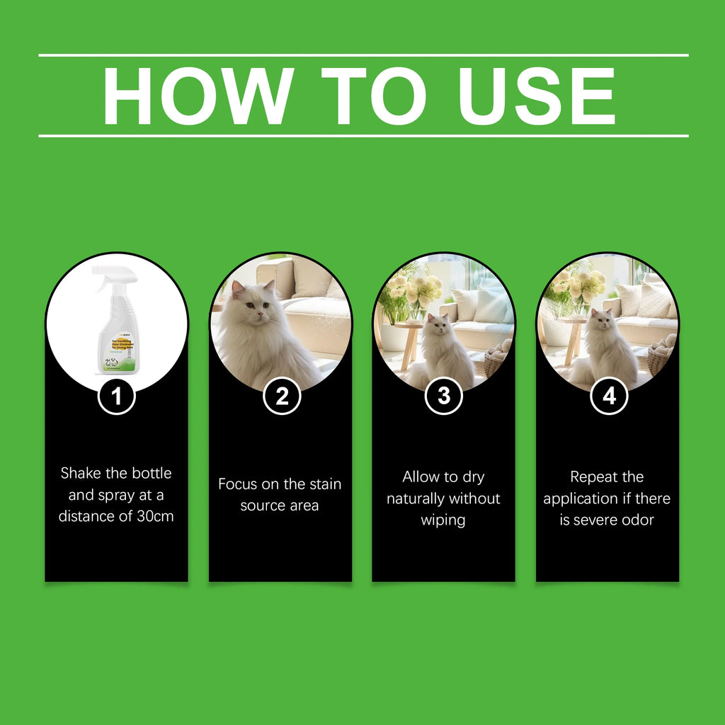 Spray for Cat Dog Urine Accidents on Carpet Furniture