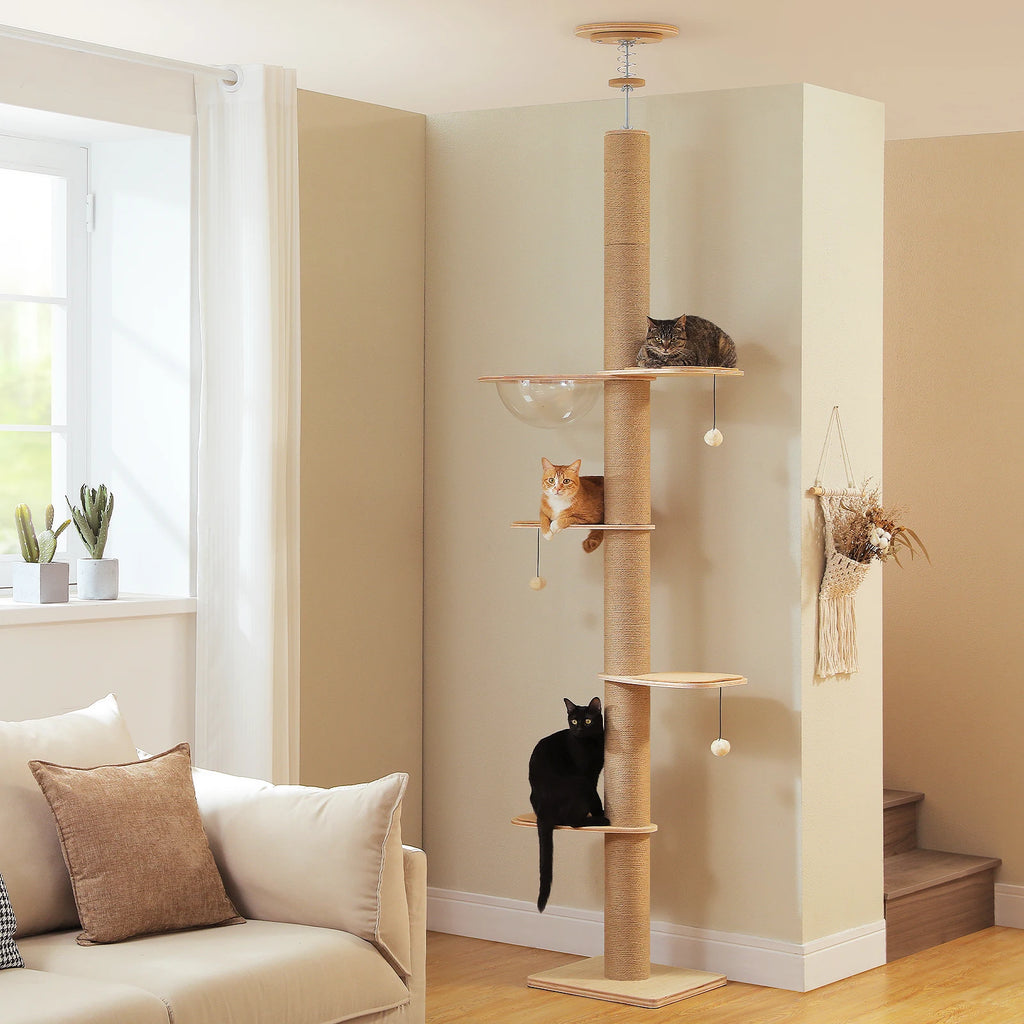 Floor to Ceiling Cat Tree for Indoor Cats Adjustable Height Wooden Scratching Posts Acrylic Cave Cat Toys