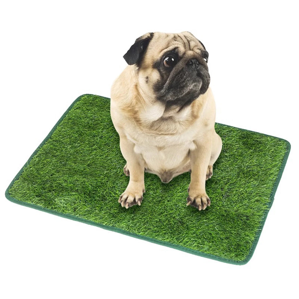Dog Grass Mat Pee Pad Reusable Strong Absorbency Suitable Potty Train