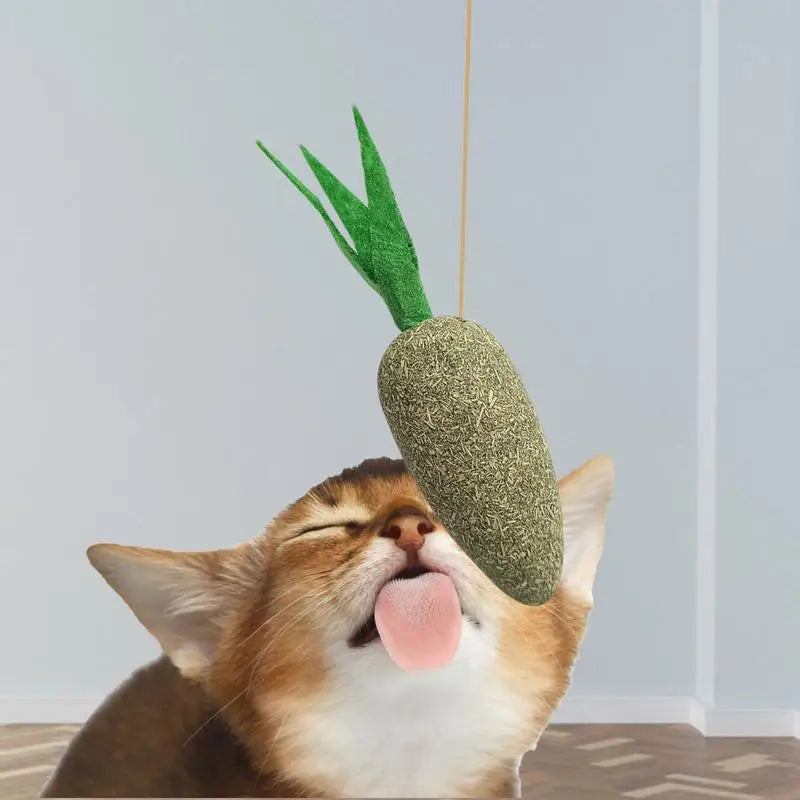 Catnip Cat Toys Cartoons Edible Catnip