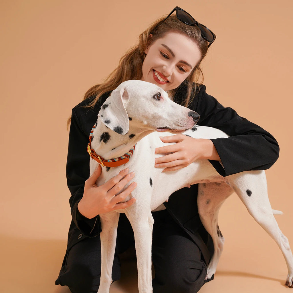 Dog Fashion Collar For Ladies Handmade Design
