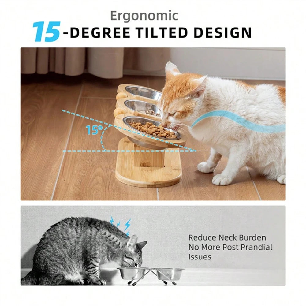 Cat 3 Bowls in 1 Feeder Feeding & Watering Supplies Food Bowl 15-Degree Tilt Raised