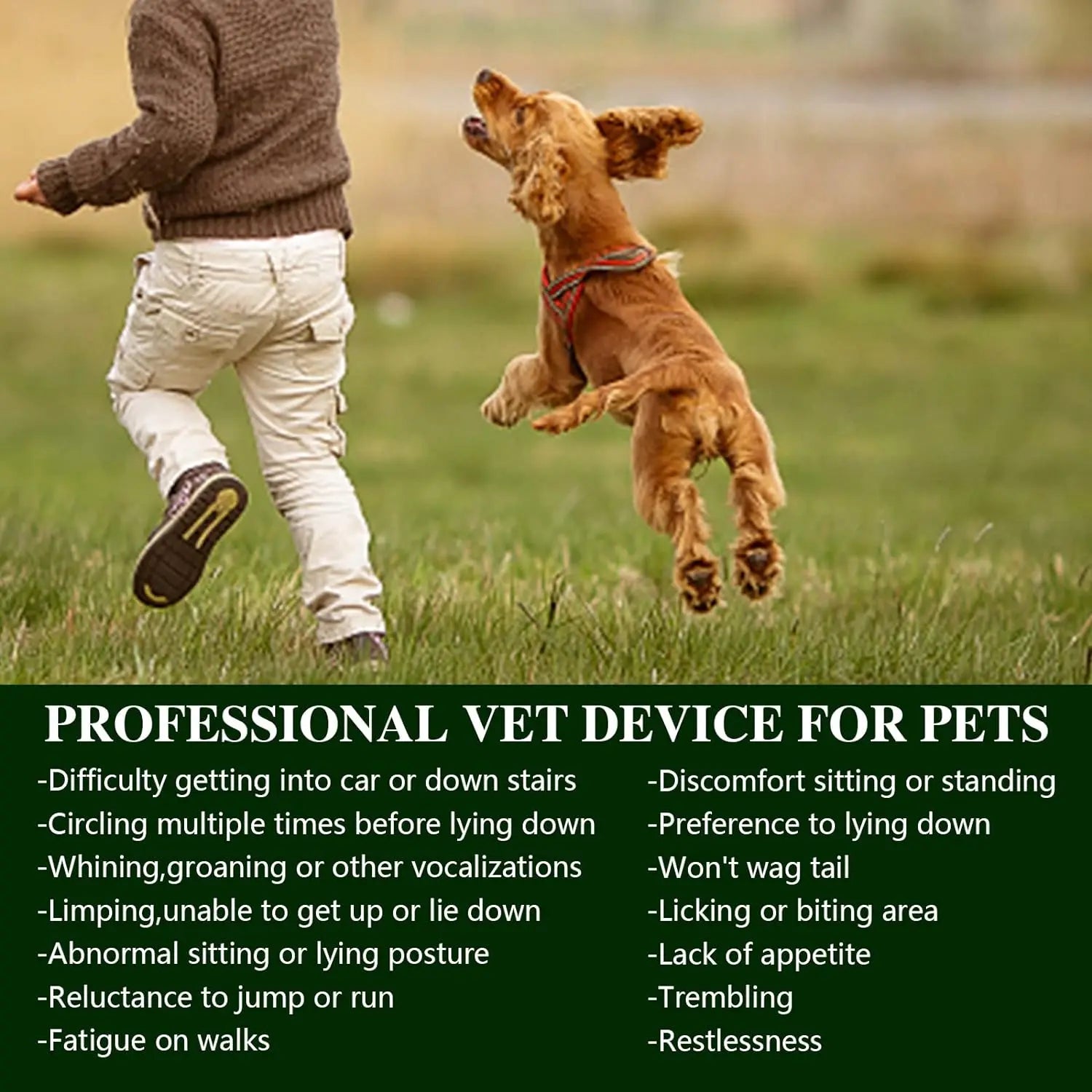 Portable Red Light Therapy Device for Pets Arthritis Treatment