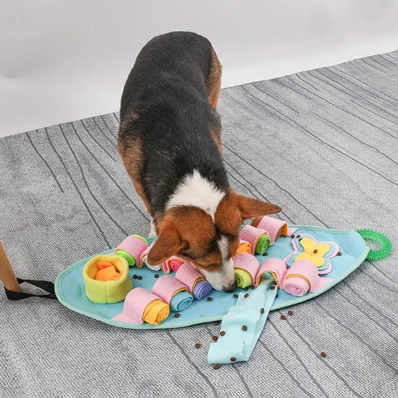 Washable Dog Sniffing Toys