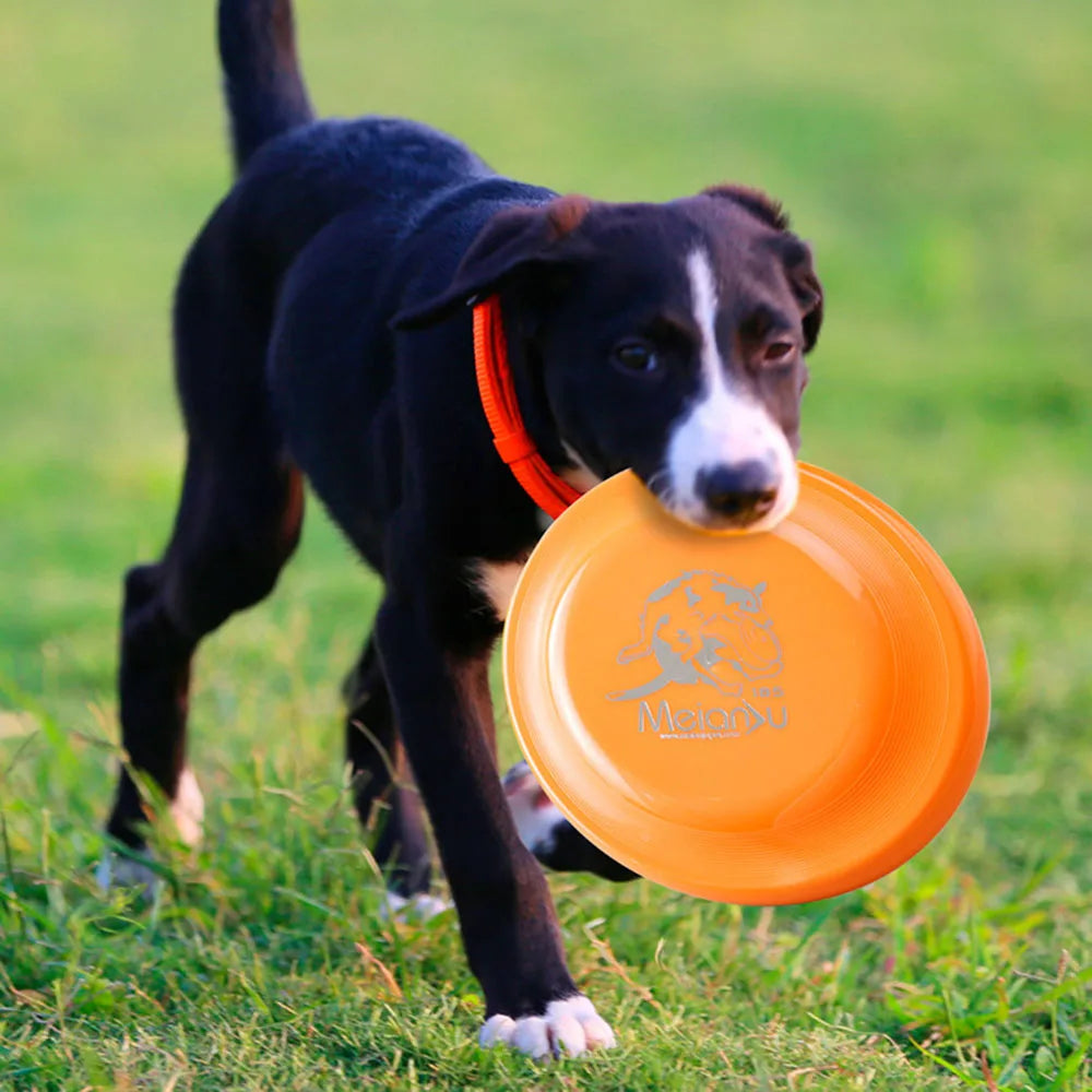 Training Disc - for Puppy & Adult Dog Lightweight Easy-Catch Dog Training Toy