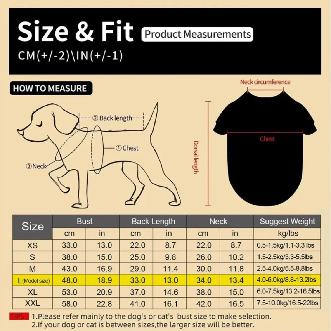 Dog T-Shirt, Black Short - Sleeve with Colorful Glittery Bats & Pumpkins & Stars Print