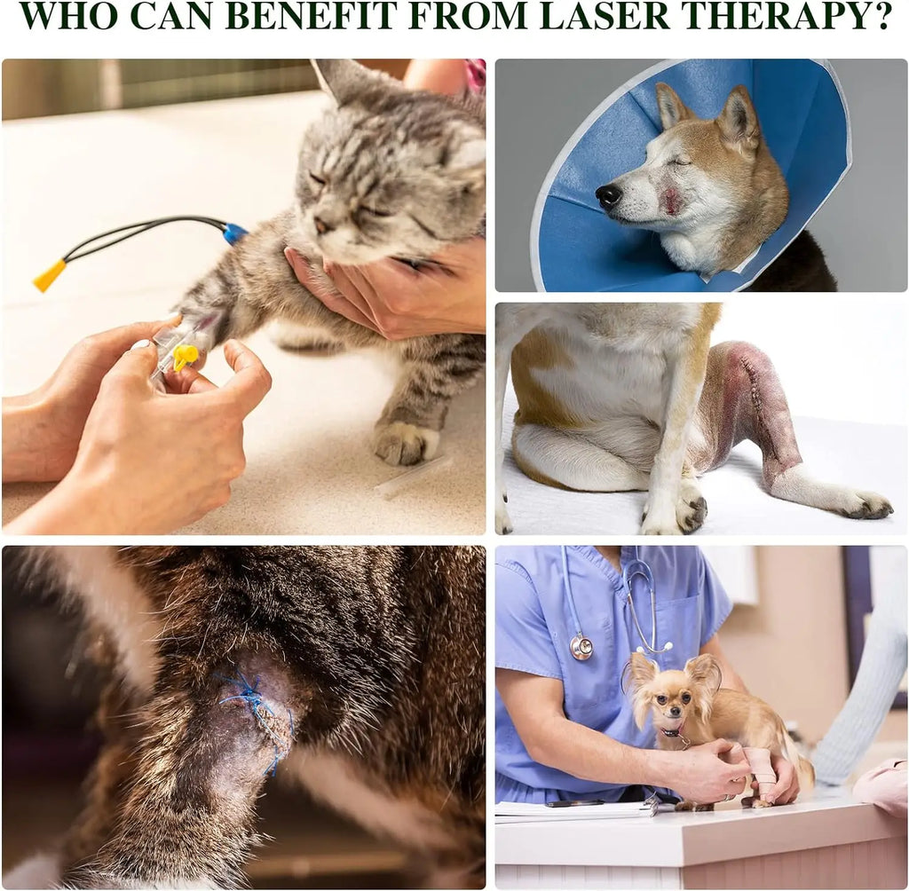 Portable Red Light Therapy Device for Pets Arthritis Treatment