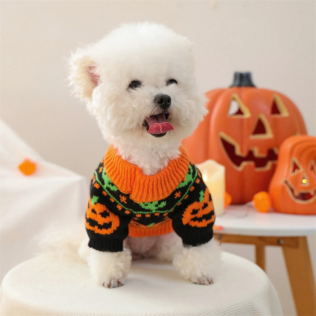 Pumpkin Knitted Sweater Small Dog Cat Outfit