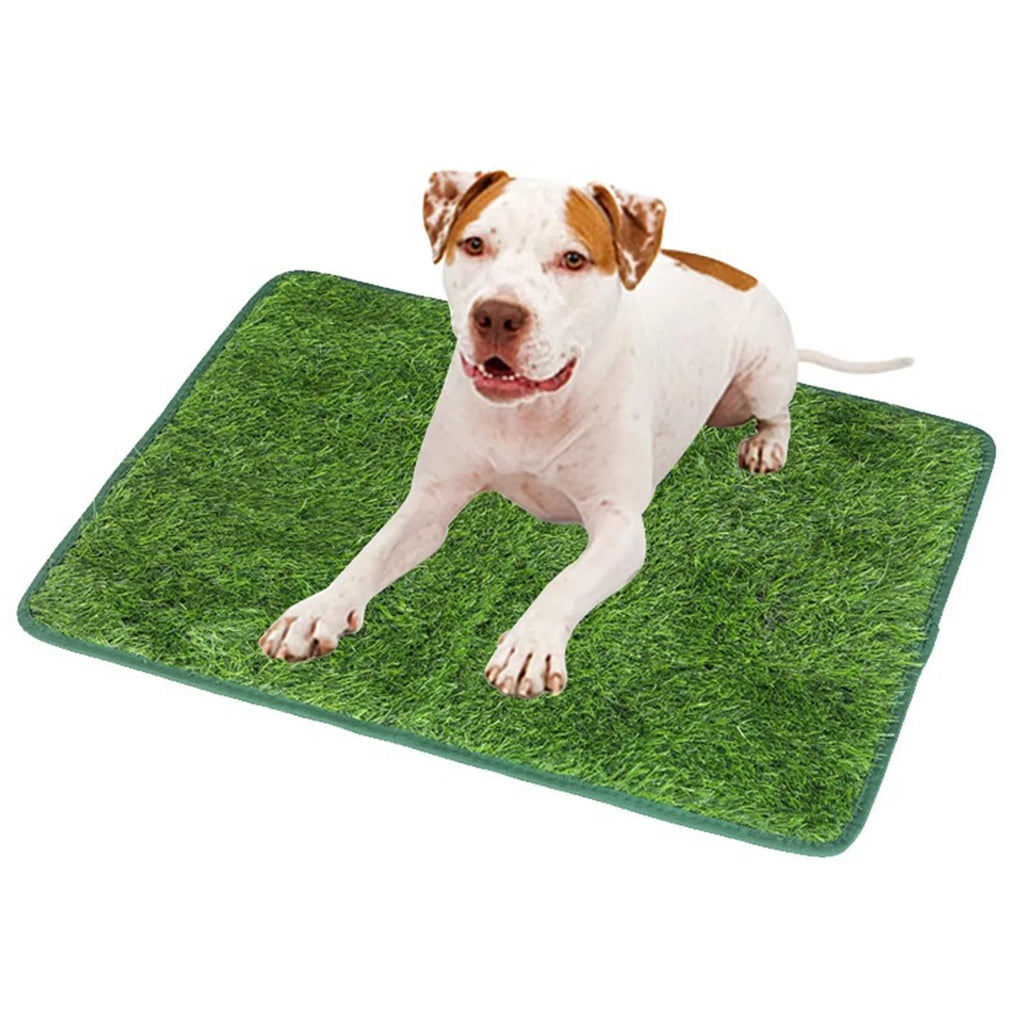 Dog Grass Mat Pee Pad Reusable Strong Absorbency Suitable Potty Train