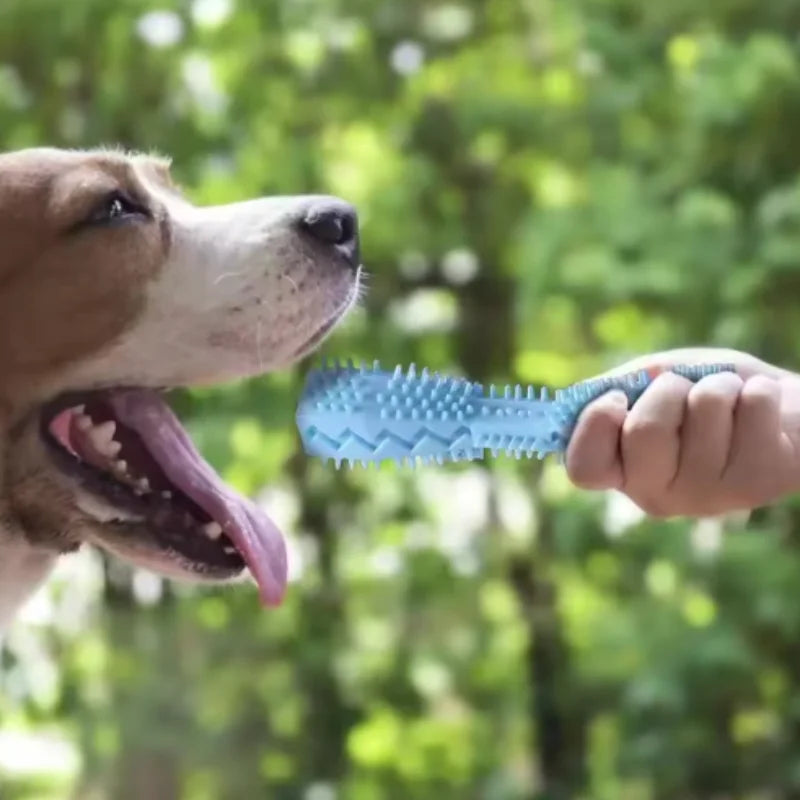Puppy Teething Toy Leak Proof Food Dispenser