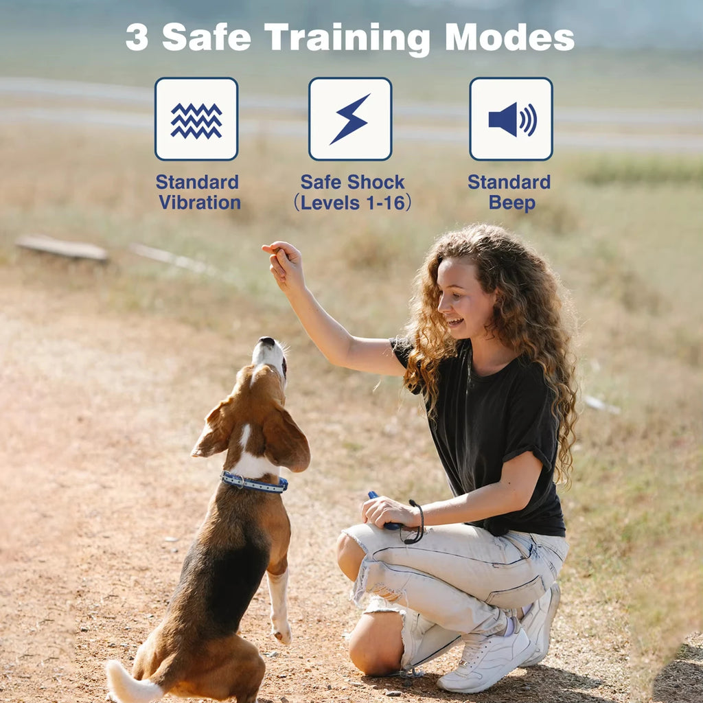 1000M Dog Training Collar 3 Training Modes With Remote