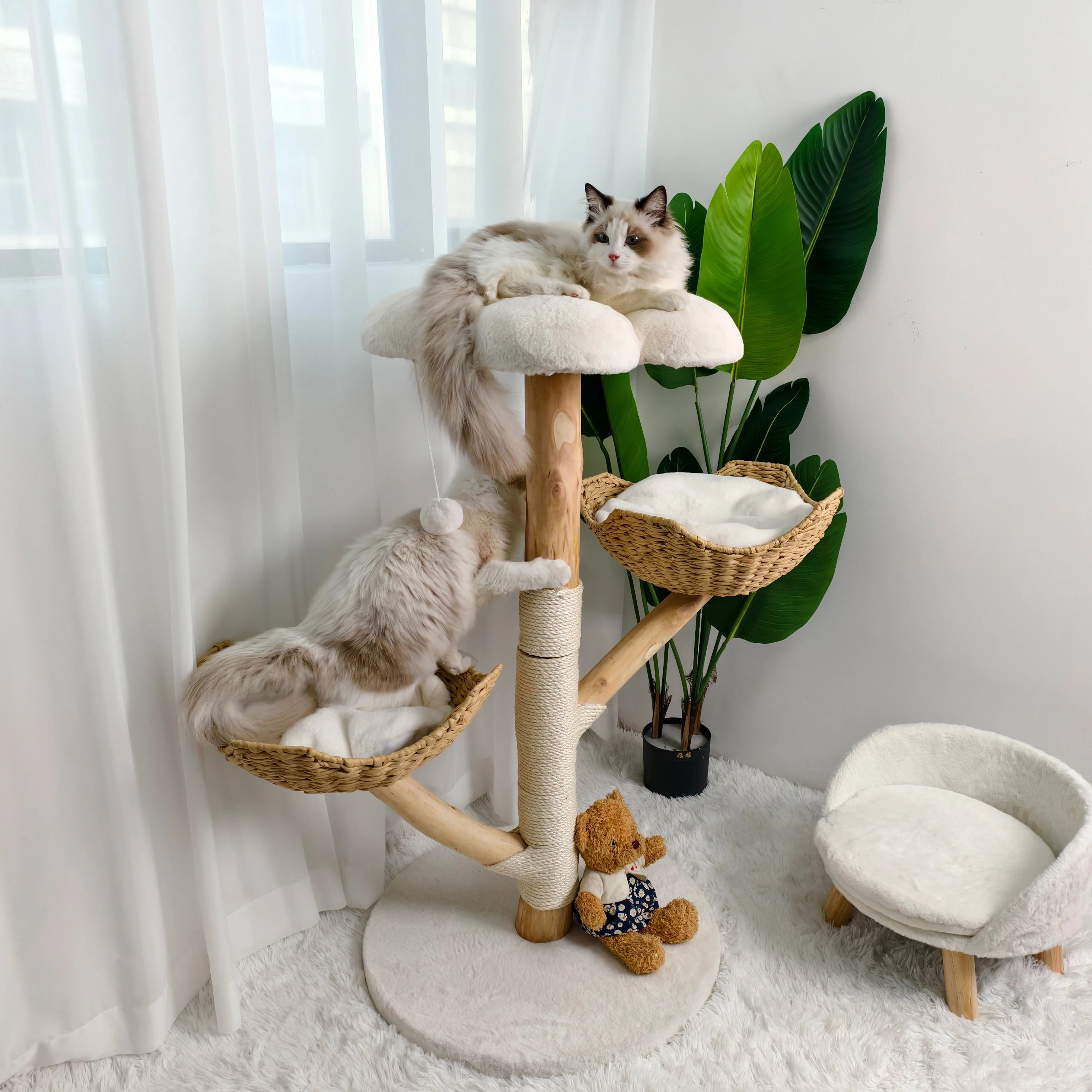Modern Cat Tree Activity Tower with Plush Cushion and Toy Ball Sisal Scratching Post
