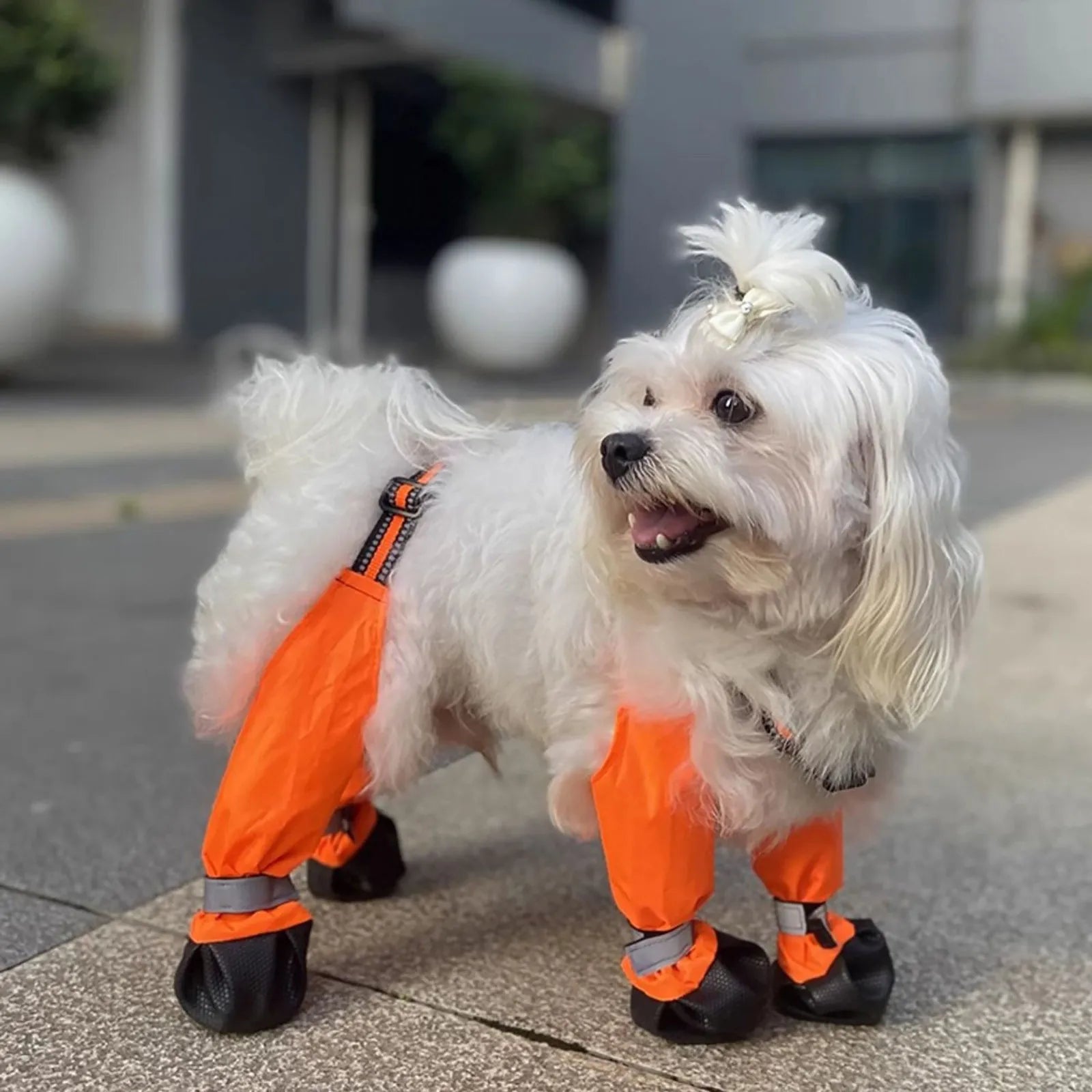 Water Proof Dog Shoes With Suspenders Slip Reflective Bootsl