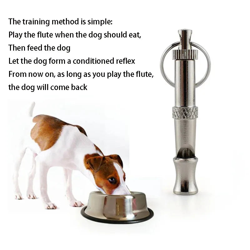 Dogs Training  Puppy  Training Whistle To Stop