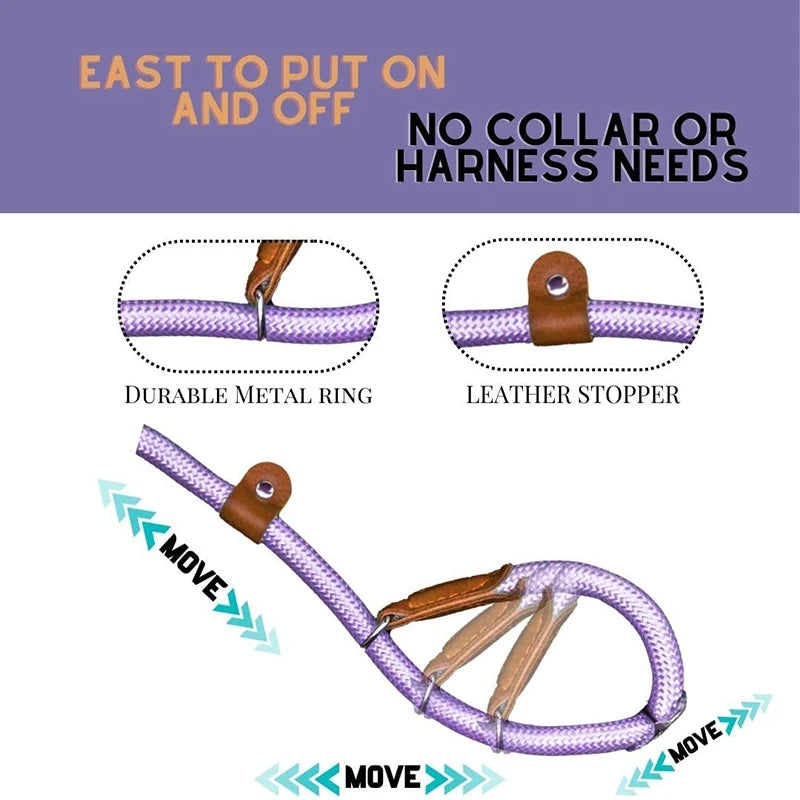 Heavy Duty Braided No Pull Training Lead Leash