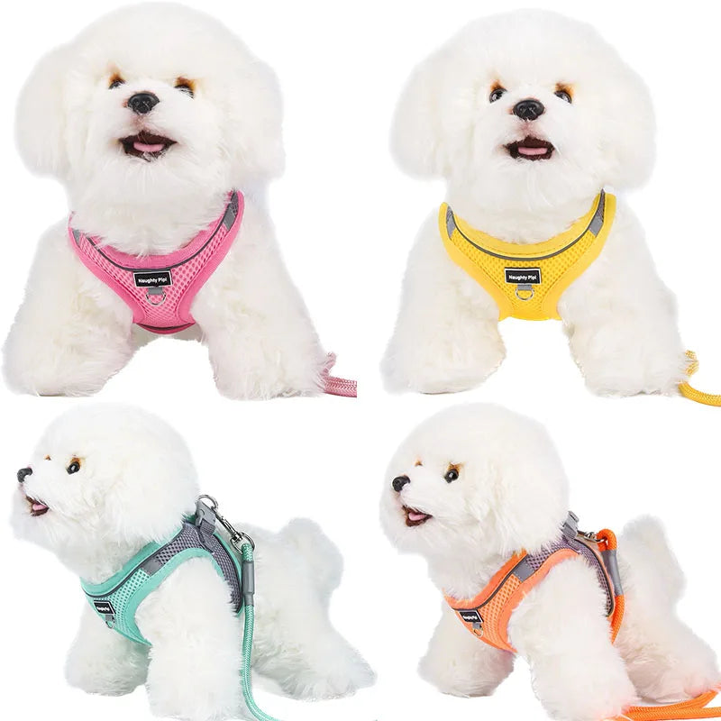 Harness for Dogs and Cats  Adjustable Collar Leash