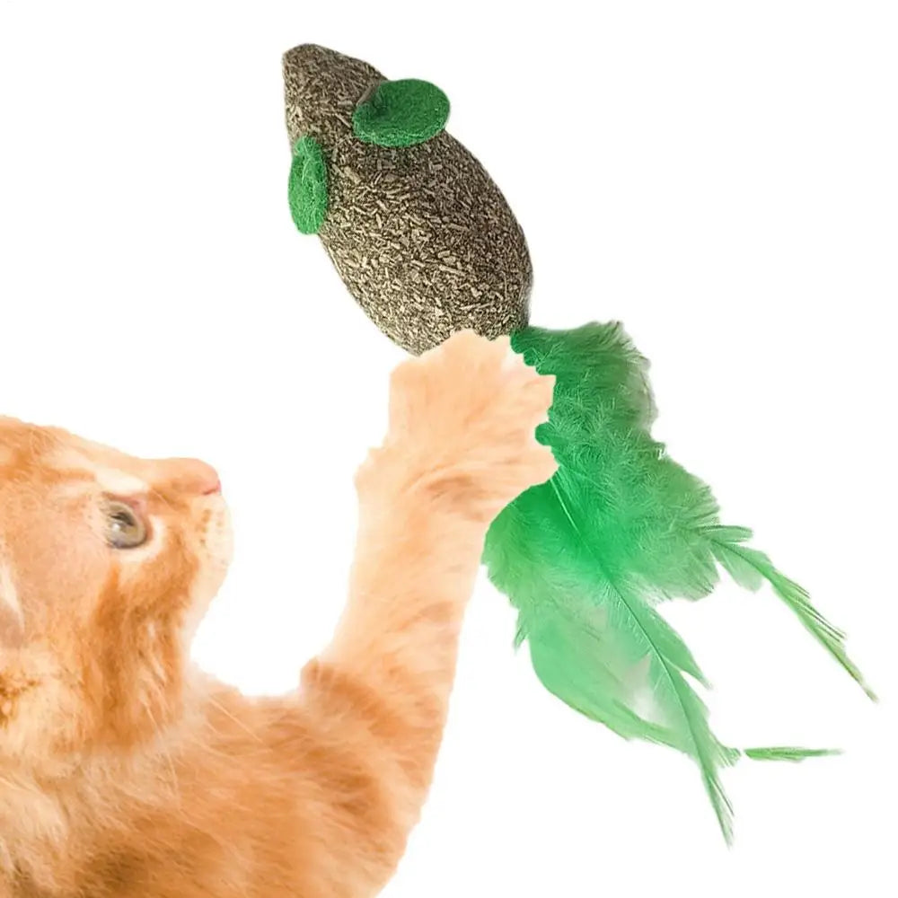 Catnip Cat Toys Cartoons Edible Catnip