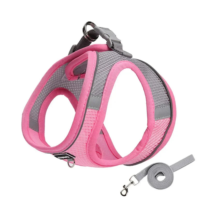 Harness for Dogs and Cats  Adjustable Collar Leash