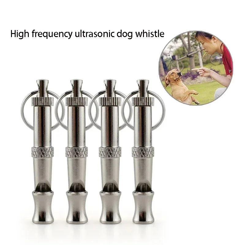 Dogs Training  Puppy  Training Whistle To Stop