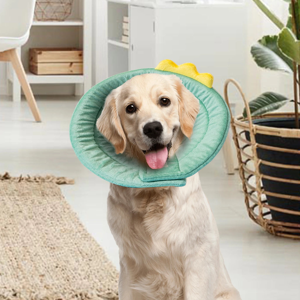 Cone Dinosaur Style Adjustable Multi-purpose Collar