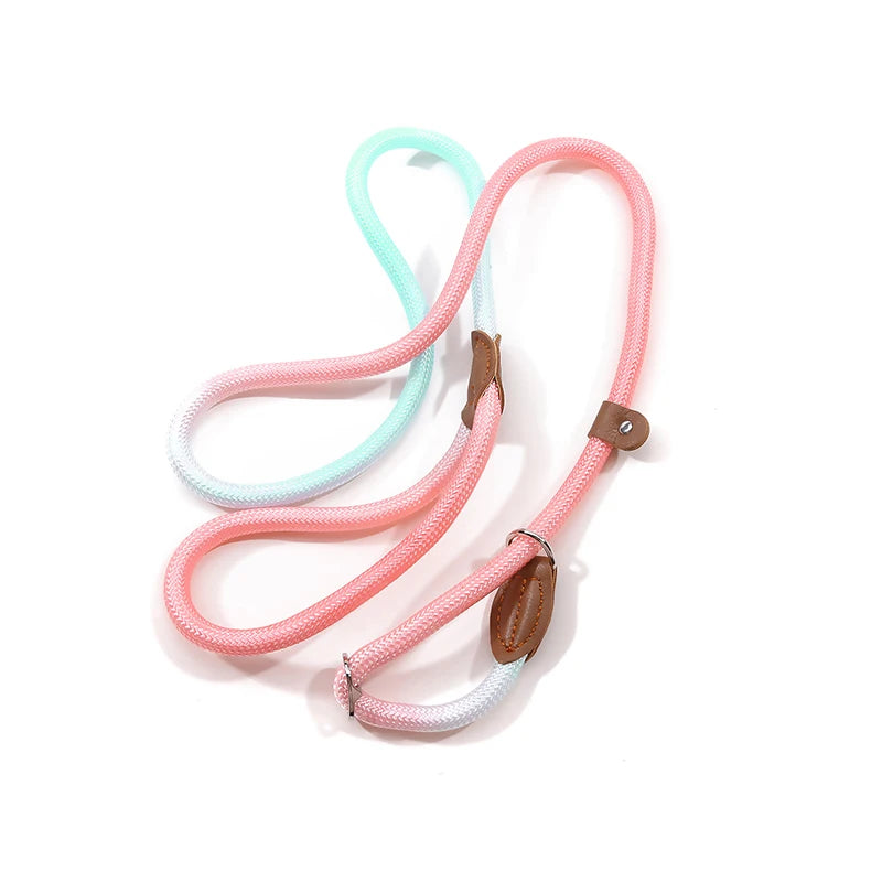 Heavy Duty Braided No Pull Training Lead Leash