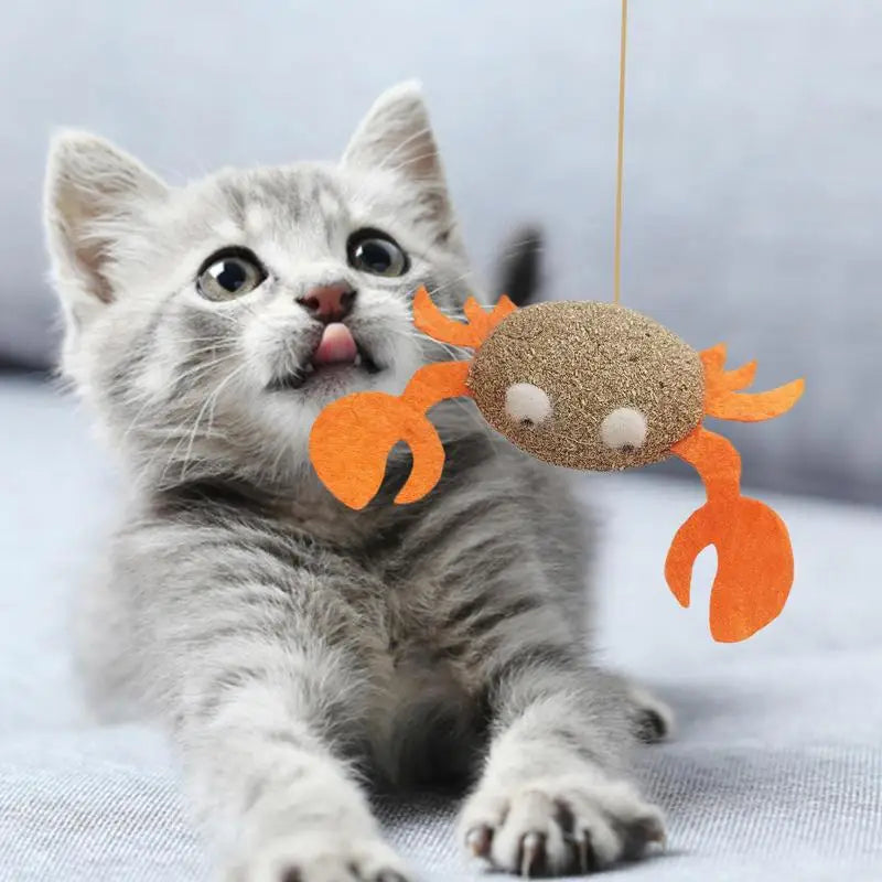 Catnip Cat Toys Cartoons Edible Catnip