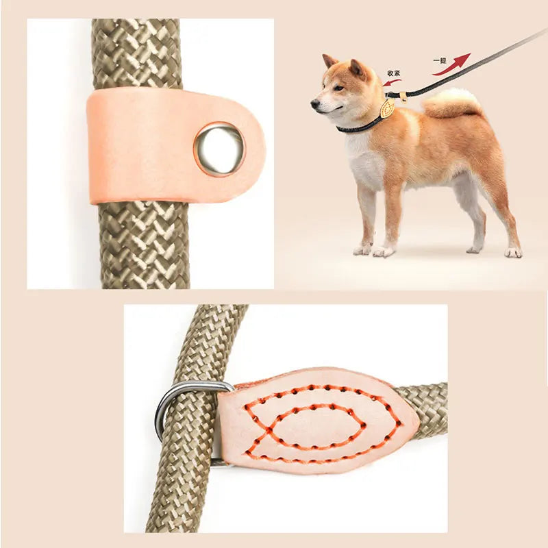 Dog training collar anti riot nylon hand P rope