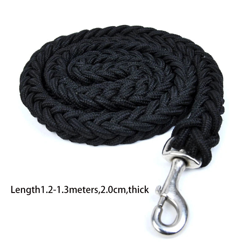 Dog leash for effective training and comfortable walking