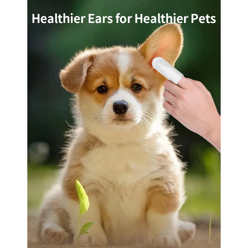 Cat and dog ear cleaning pet products