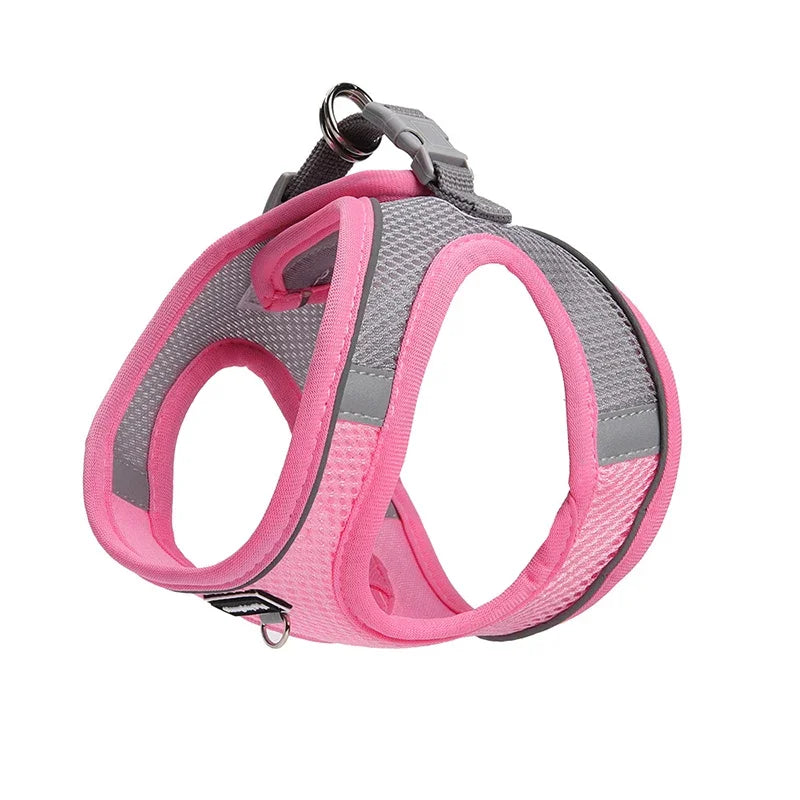 Harness for Dogs and Cats  Adjustable Collar Leash