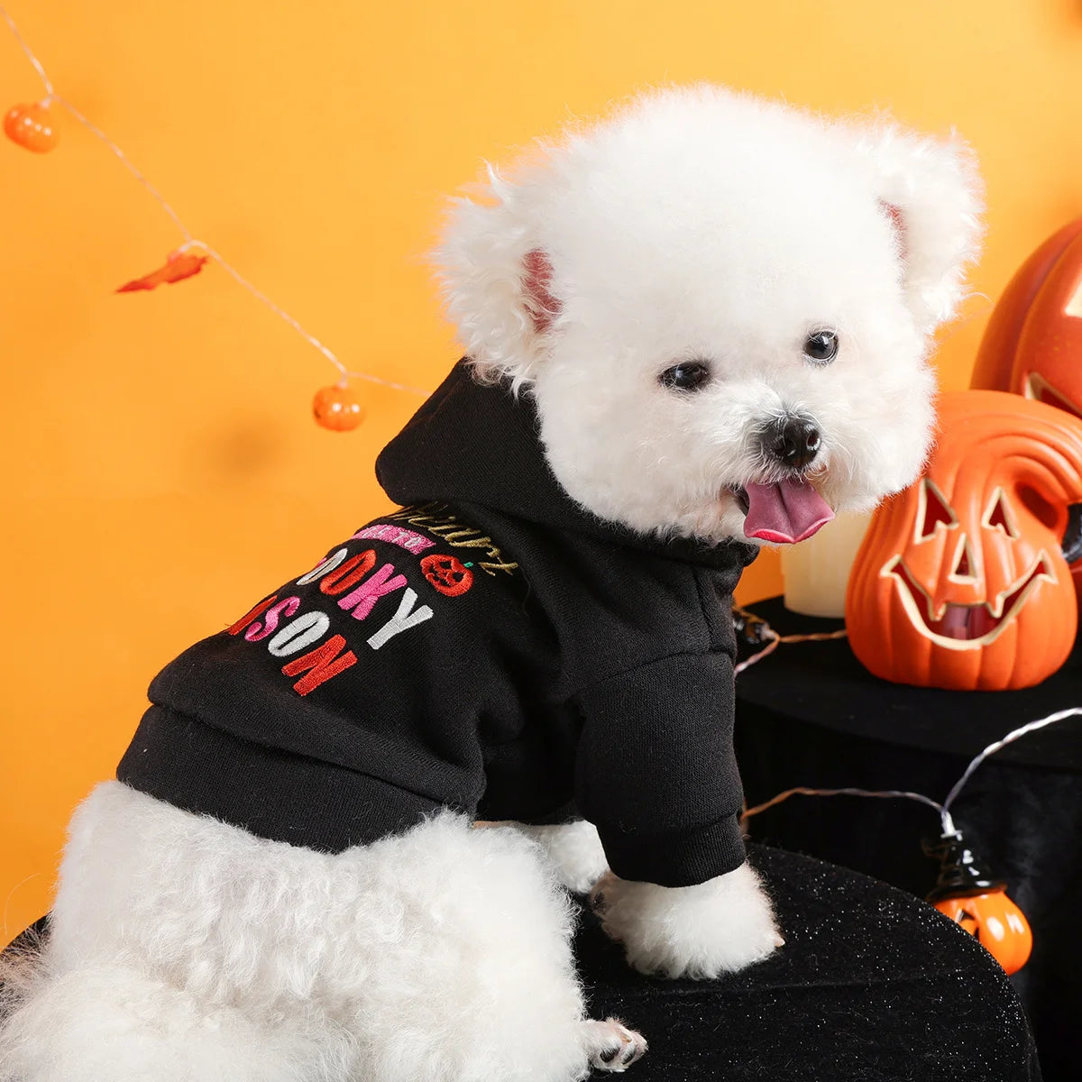 Halloween Sweater Dog Cat Black Funny Hooded Open Button Jacket