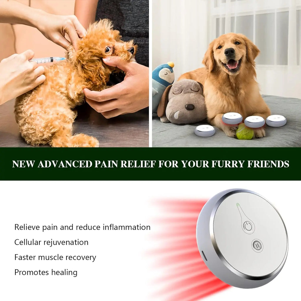 Portable Red Light Therapy Device for Pets Arthritis Treatment